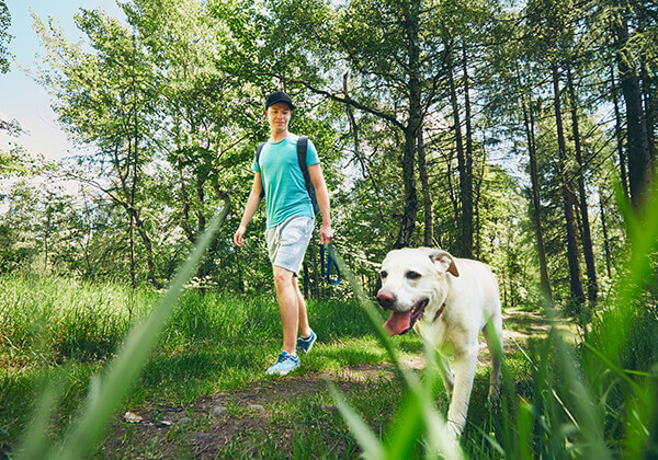 Man walking dog on wooded trail