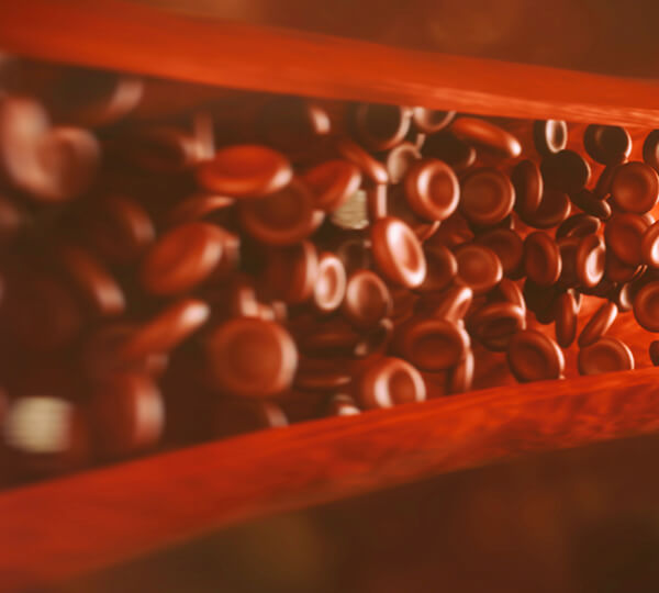 Close-up of blood illustration